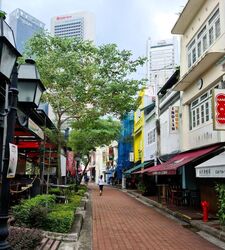 Boat Quay Conservation Area (D1), Shop House #463113441